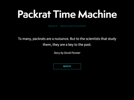 Text says, "Packrat Time Machine"