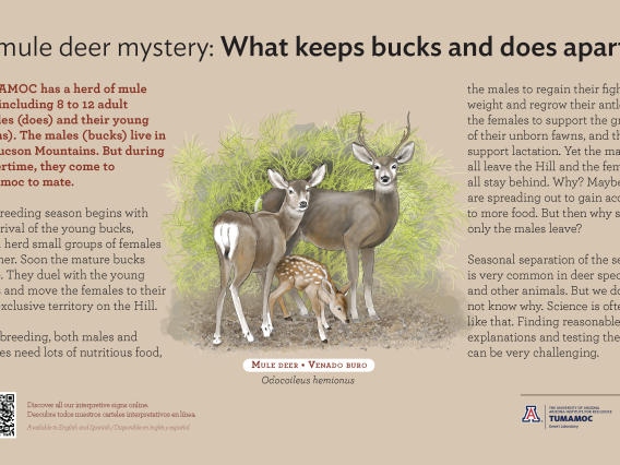 Mule Deer species sign with descriptive text and color illustration. 