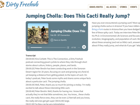 Screenshot of podcast article on Jumping Cholla Cactus