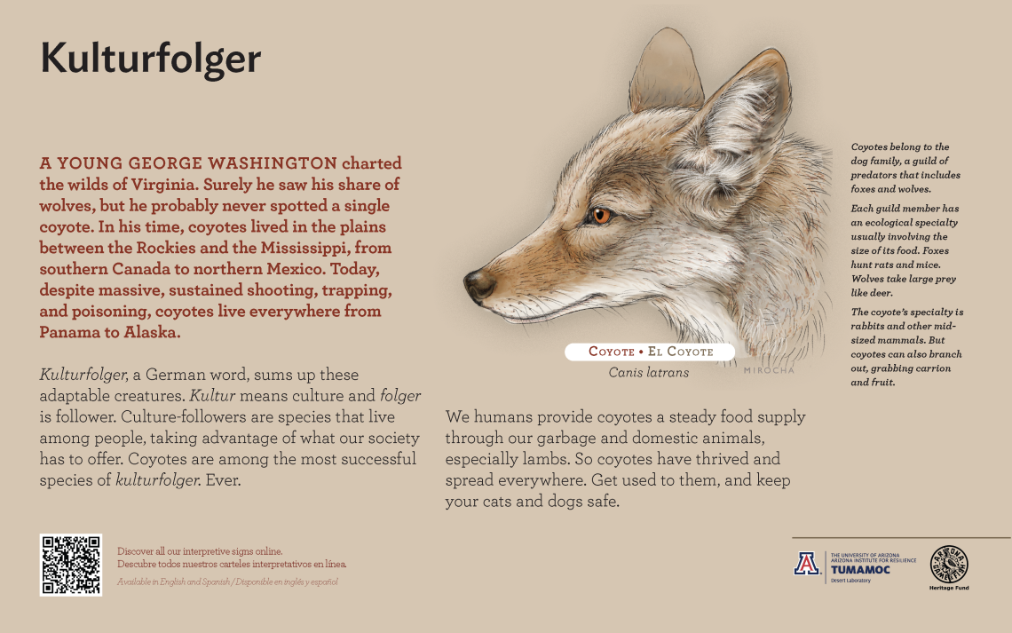 Coyote species sign with descriptive text and color illustration. 