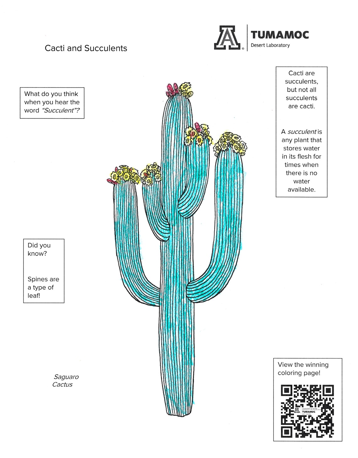 coloring page of saguaro cactus