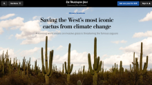 Washington Post article about Saguaro