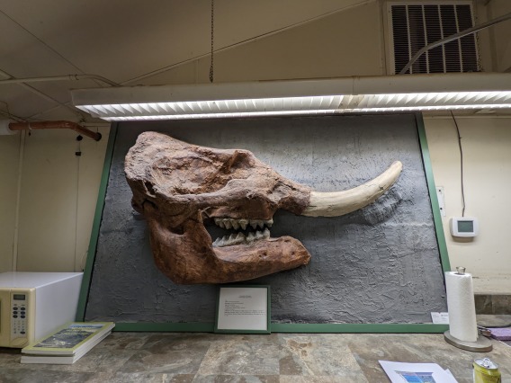 Mammoth Display 