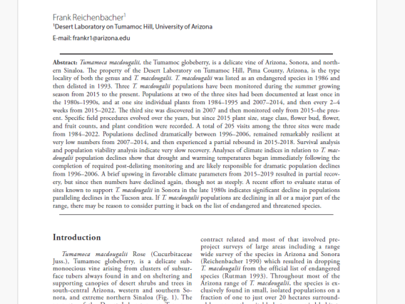 Screenshot of title page of Frank Reichenbacher's paper on the Tumamoc Globeberry