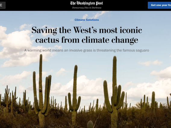 Washington Post article about Saguaro