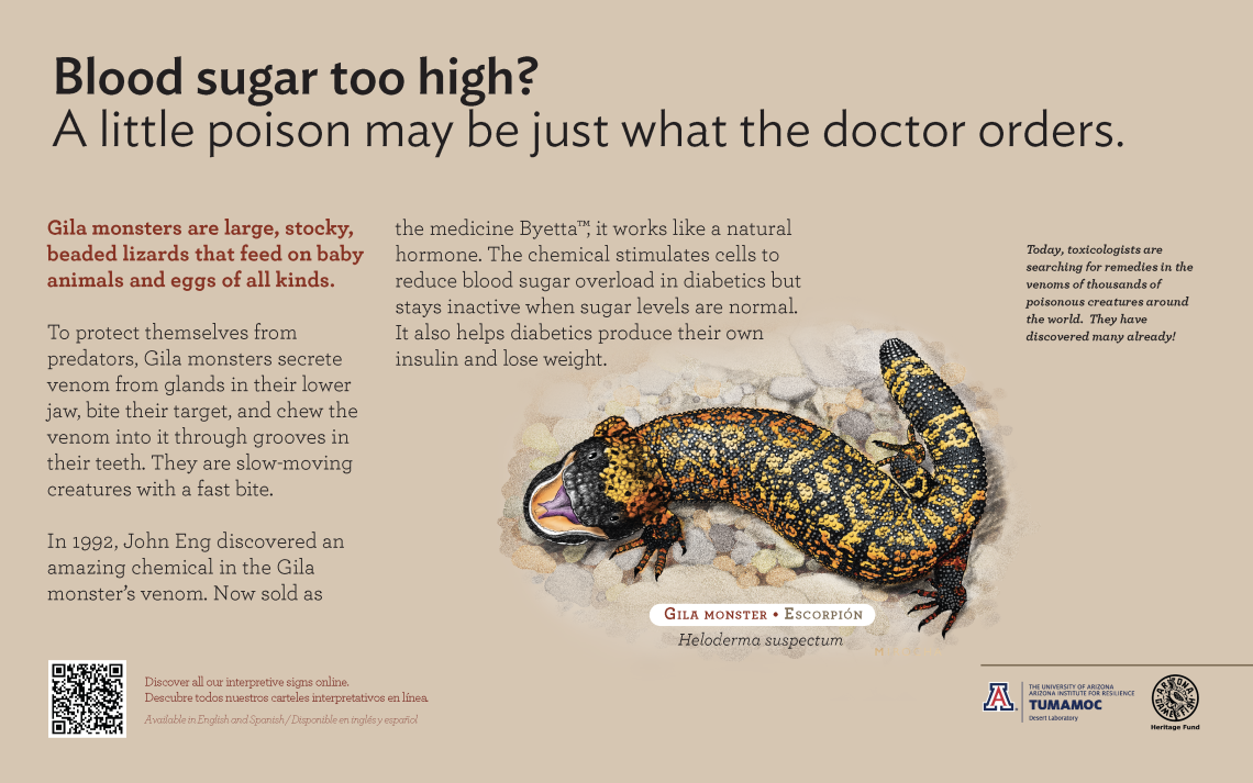 Gila Monster species sign with descriptive text and illustration. 