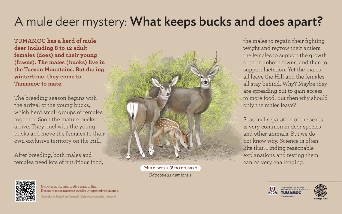 Mule Deer species sign with descriptive text and color illustration. 