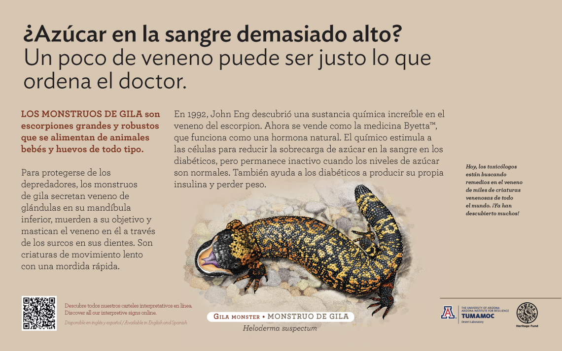 Spanish Gila Monster species sign with descriptive text and color illustration. 