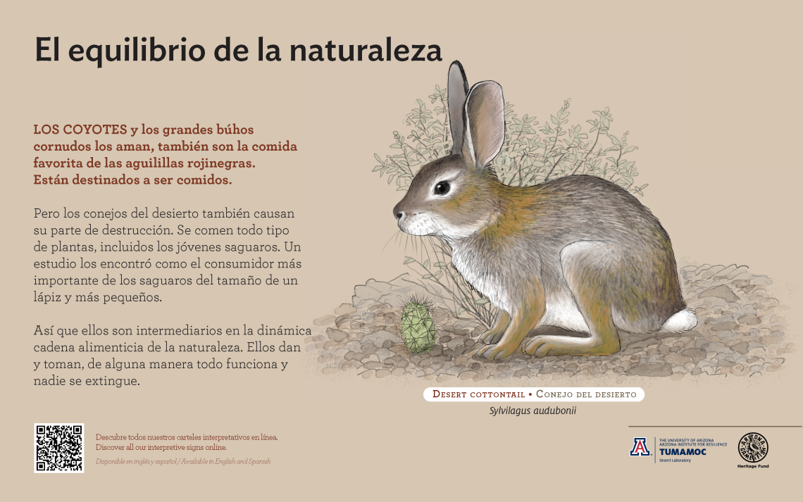 Spanish Desert Cottontail species sign with descriptive text and color illustration. 