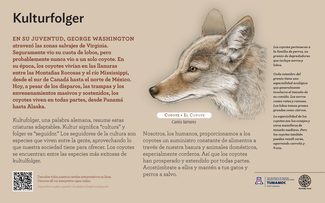 Spanish Coyote species sign with descriptive text and color illustration. 