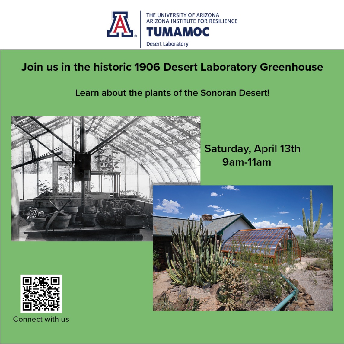 April 13 Open Greenhouse 9am-11am flyer