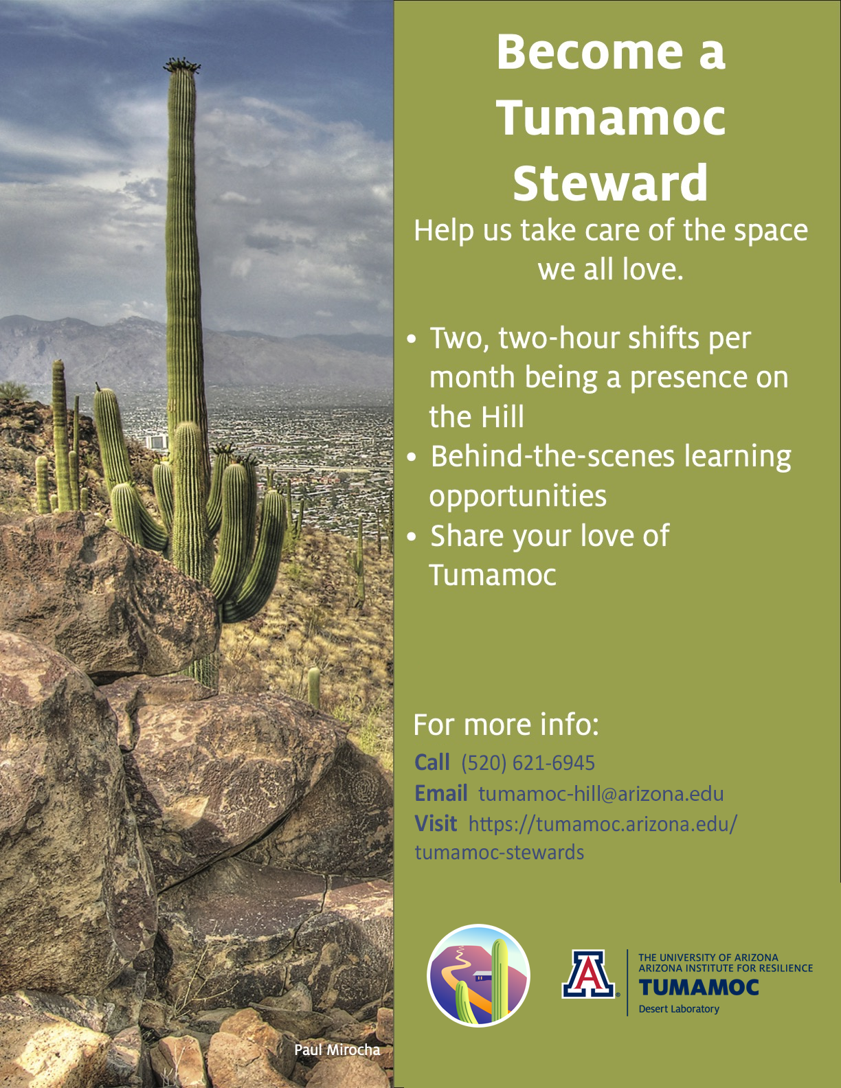 Flyer for the Tumamoc Stewards Program, with photo of a saguaro and information on the program. 
