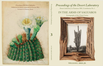 Señor Saguaro” – U-M Grad's Latest Children's Book Looks at Life in the  Desert - Ann Arbor Family