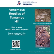 Venomous Reptiles Flyer with QR code