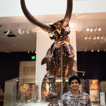 Photo of Dr. Advait Jukar standing in front of Mammal Fossil in a Museum